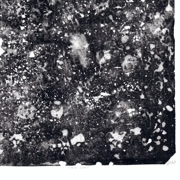 Lithographie Originale "Minéral Celeste" – Image 4