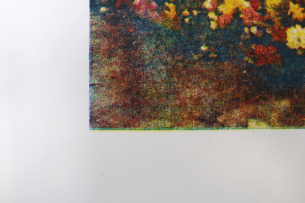 Lithographie "Le cimetière" – Image 3